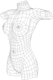 Body Wireframe